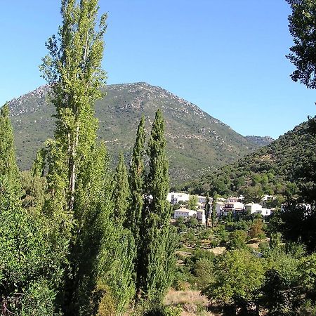 Appartamento Napaimbe Sierra Benamahoma Esterno foto