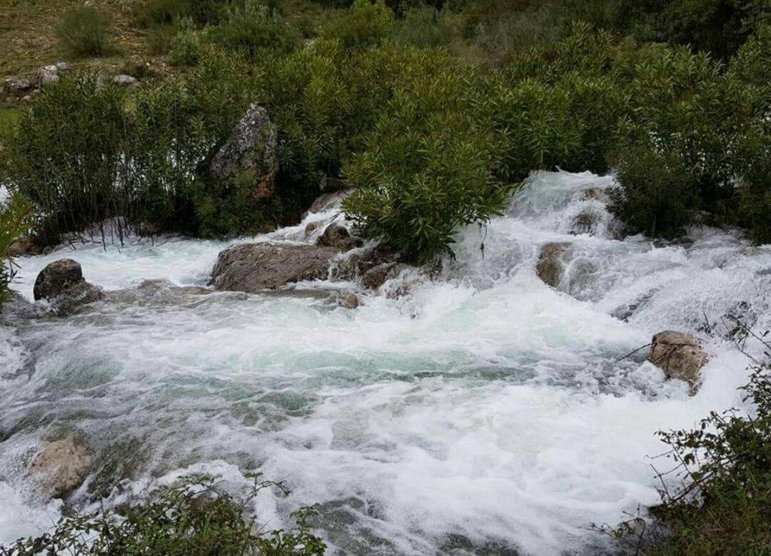 Appartamento Napaimbe Sierra Benamahoma Esterno foto