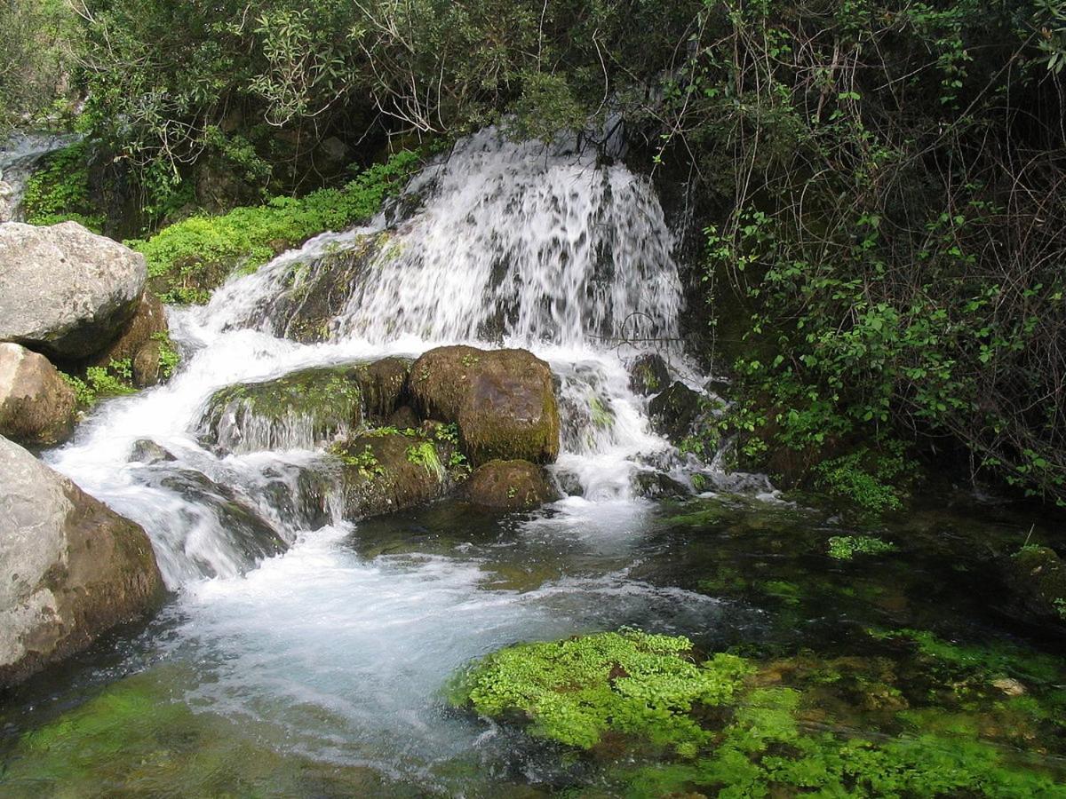 Appartamento Napaimbe Sierra Benamahoma Esterno foto