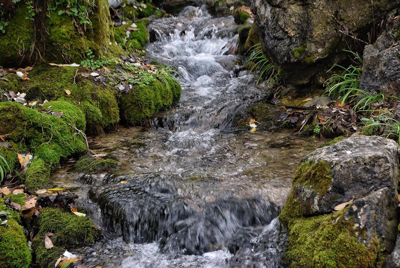 Appartamento Napaimbe Sierra Benamahoma Esterno foto