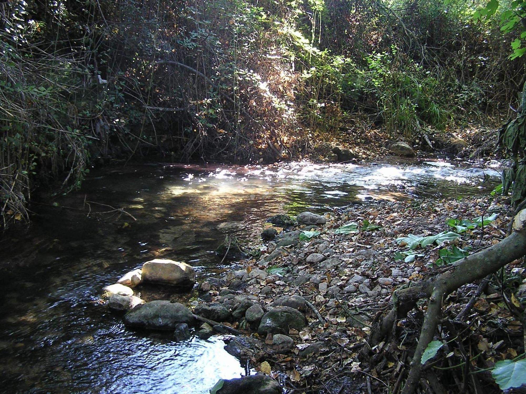 Appartamento Napaimbe Sierra Benamahoma Esterno foto